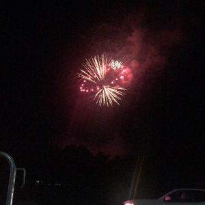 Meet your Posher, Bailey